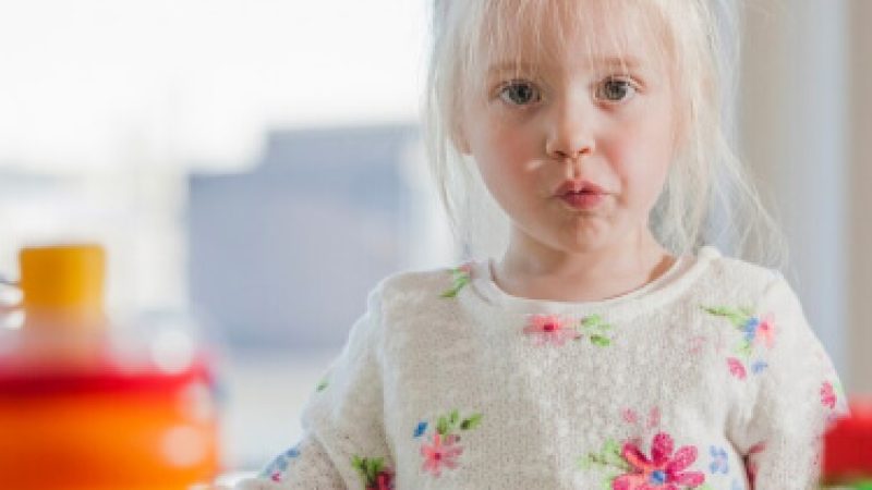 A young child at a table with an open picture book and building blocks